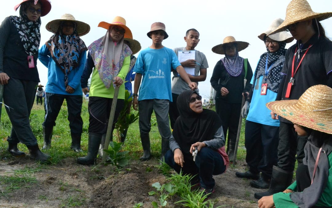 Program bersama Ikon Petani Berjaya (Puan Norizan bt Haji Othman) – 14 Mei 2018